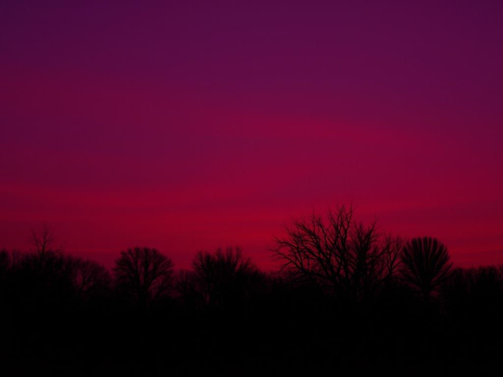 Atmospheric Dub in Muted Colors