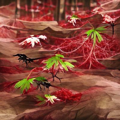 Bloodleaf Japanese Maple Forest Concept Art