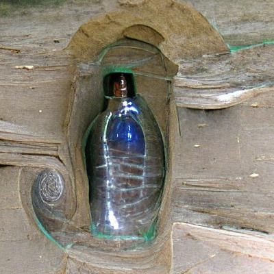 Bottle with Portal Inside