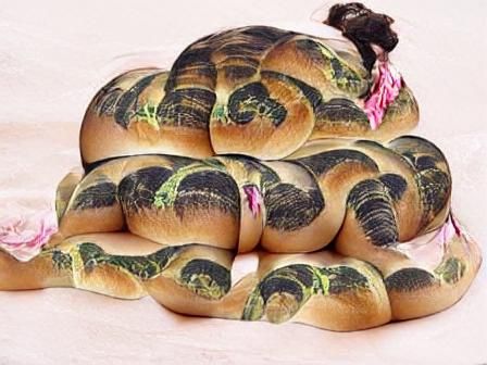 Humorous Anaconda Illustration: Selective Appetite