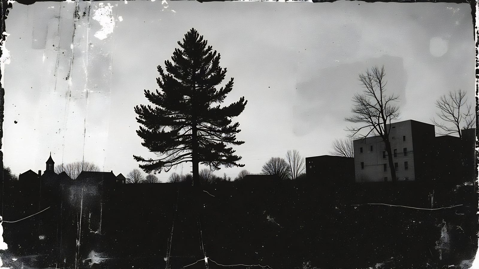 Darkwave Postpunk Scene: Lone Pine Tree at Dusk