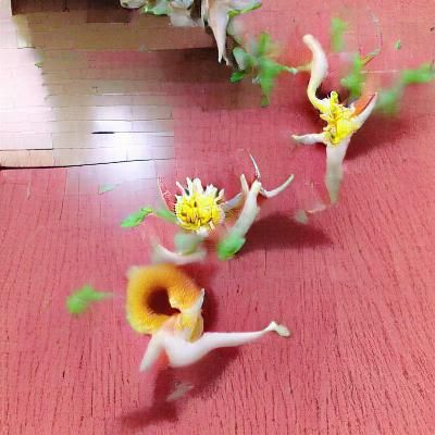 Radiant Flower in Bloom