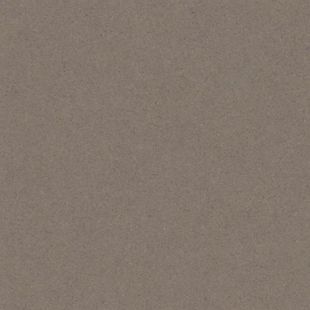 Detailed View of the Human Body