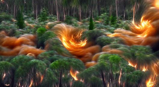 Inferno Engulfs Untouched Forest in Fiery Collision