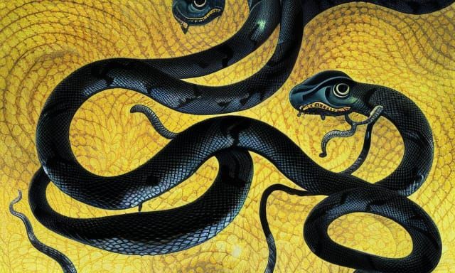 Glittering Snakes: A Detailed Mass of Mambas and Cobras