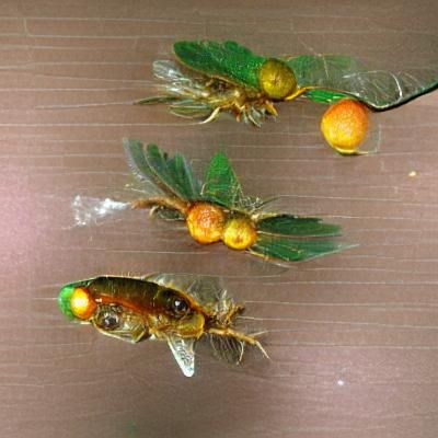 Abstract Neurogenetic Circuit Illustration