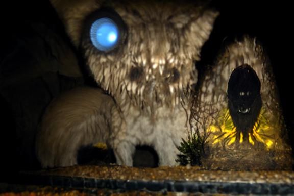 Glowing eyes viewed from hidden creature