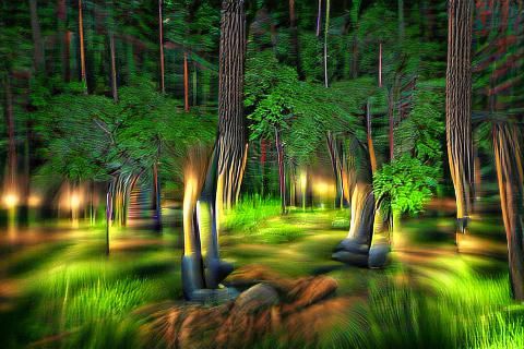 Peaceful Forest at Midnight in 8K 3D