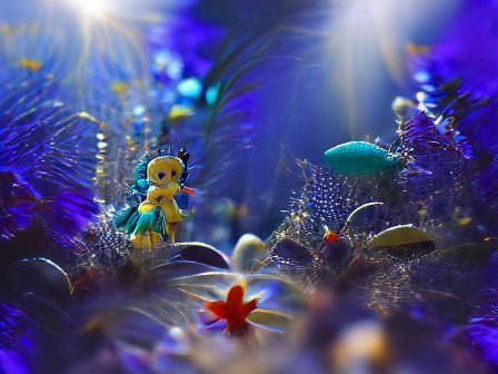Underwater Scene in Professional Photography Style