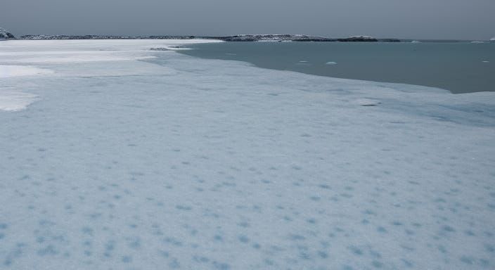 Icy Beach Landscape