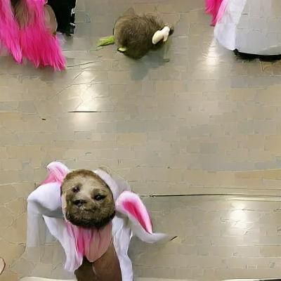 Sloth in Bunny Costume: An Adorable AI Image
