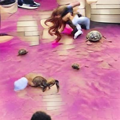 Simple AI Turtle Shell Icon Design