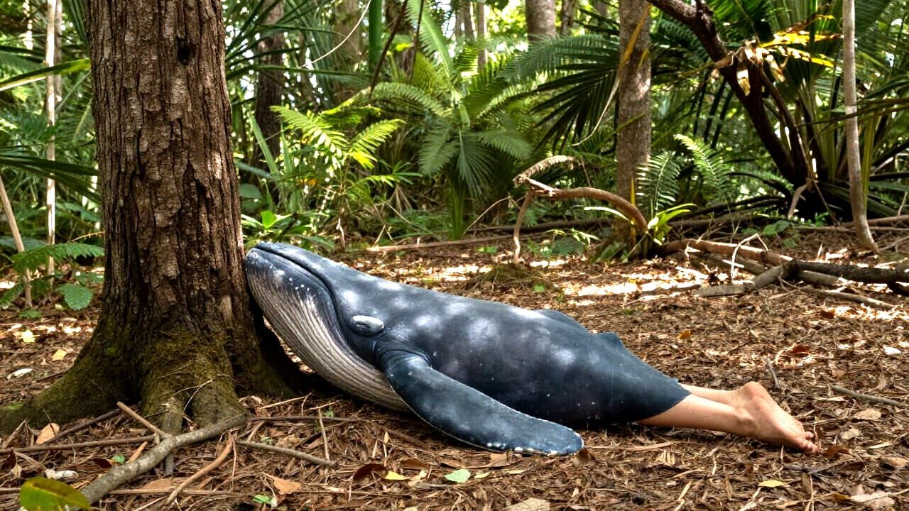 Embrace Nature's Wisdom: Connect with Earth and Sun