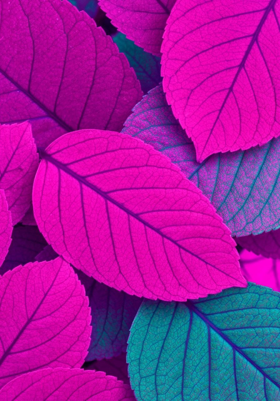 Neon Magenta Leaves in High Contrast