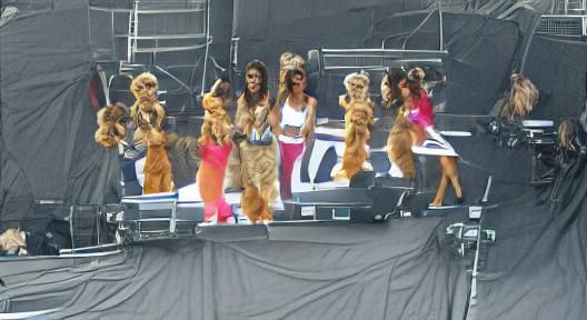 The Saturdays: Fursona Transformation Art