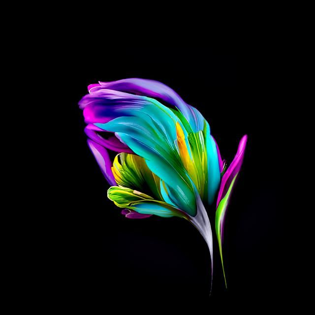 Floral Fine Art Photography in 8K 3D
