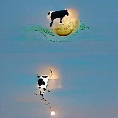 Cow Jumping Over the Moon Illustration