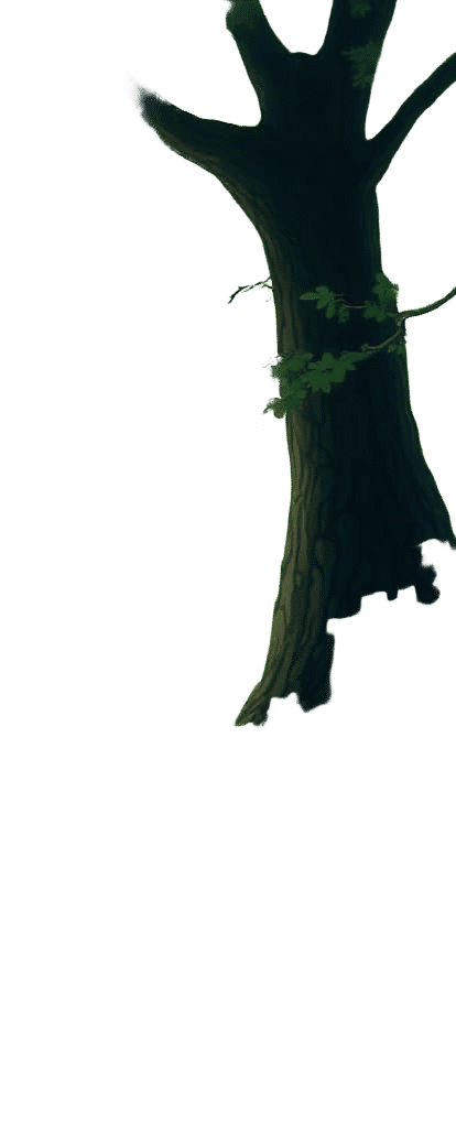 Contrasting Nature Scene in Half Light