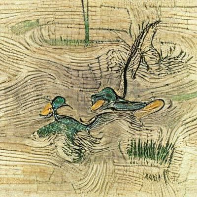 Ducks in a pond.