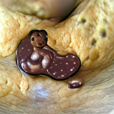 Pregnant Chocolate Chip: A Conceptual Illustration