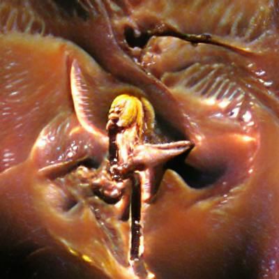 Abstract Biological Form: Organic Growth