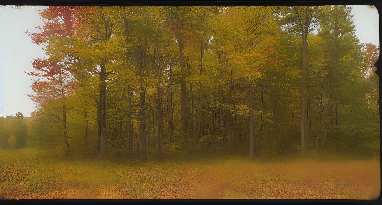 New England Autumn in Color Calotype Style