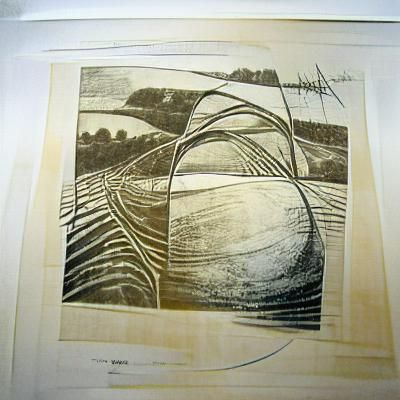 Organic Lines: Aquatint and Etching Art