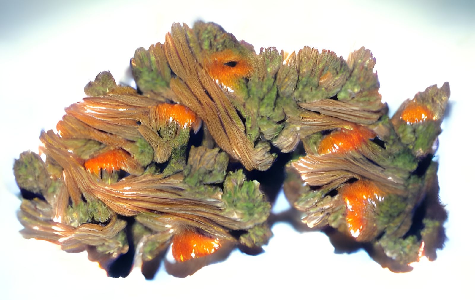 Marijuana Trichomes: A Detailed Close-Up