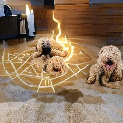 Labradoodles' Demonic Pact: Annoyance for Souls