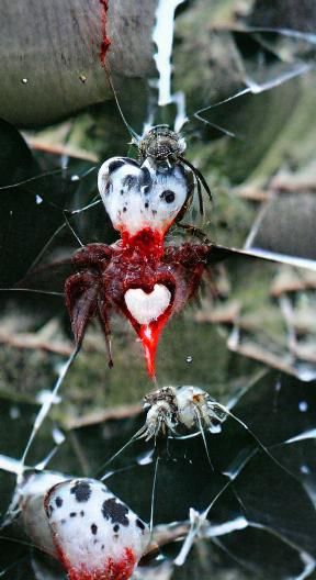 Spider Feast: A Macabre Gothic Horror Scene