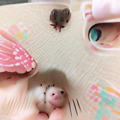 AI Concept of a Perfect Meetcute