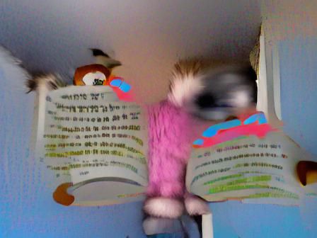 Aoccdrnig to a rscheearch at Cmabrigde Uinervtisy it deosn't mttaer in waht oredr the ltteers in a wrod are the olny ipr...