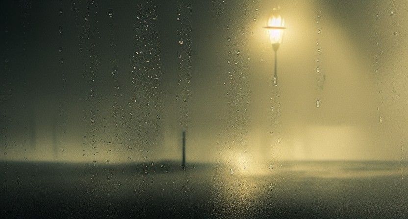 Sunlit Rain: Professional Photography with Bokeh