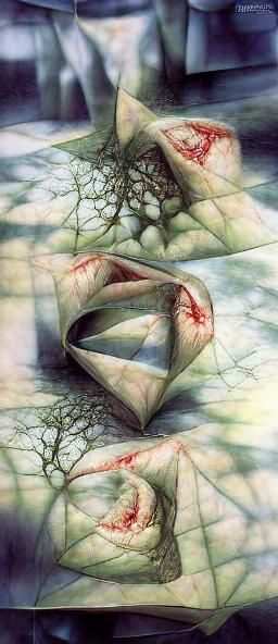 Mathematical Wound: Impossible Geometric Decay