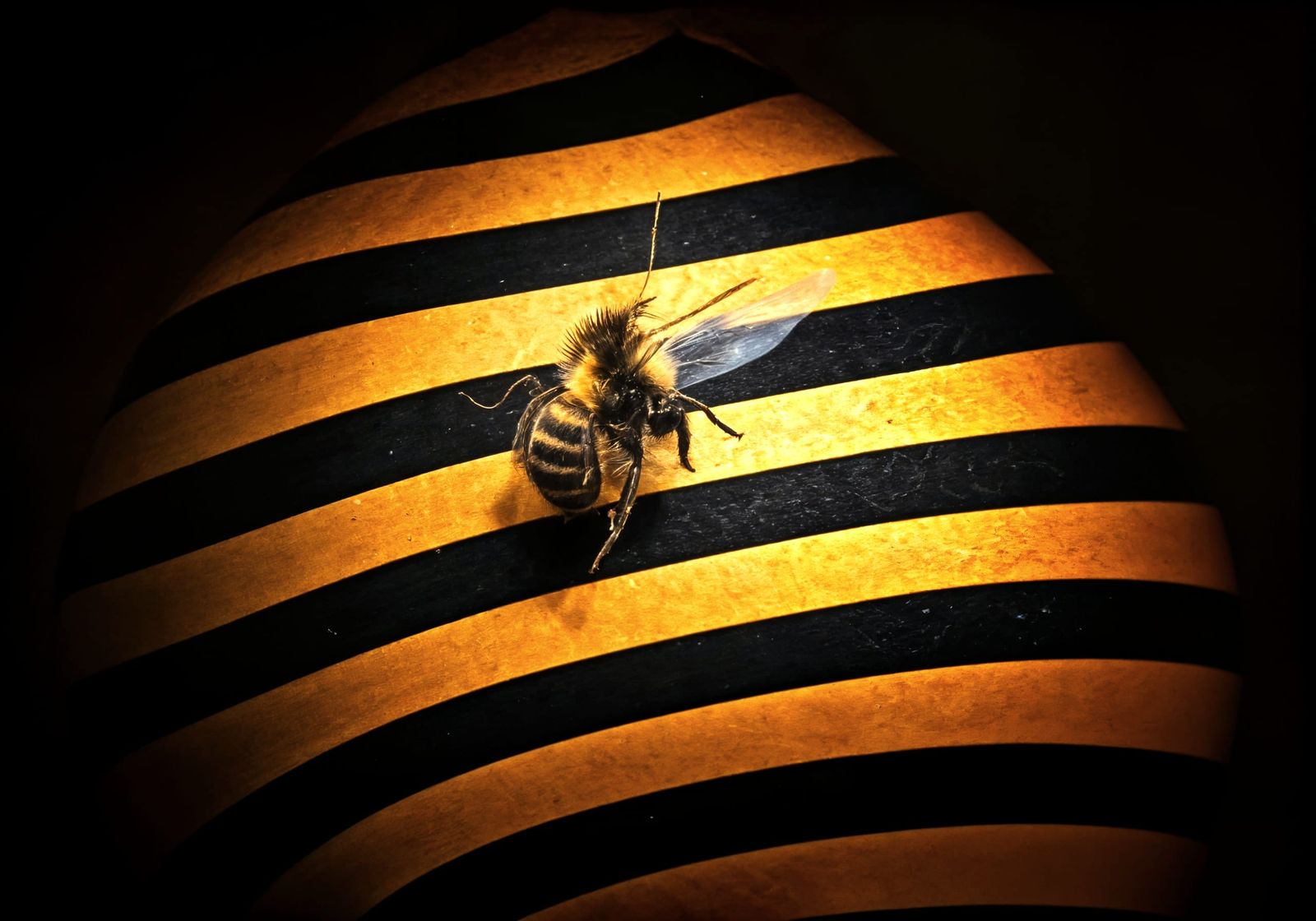 Vibrant Stripes in a Dreamlike Landscape