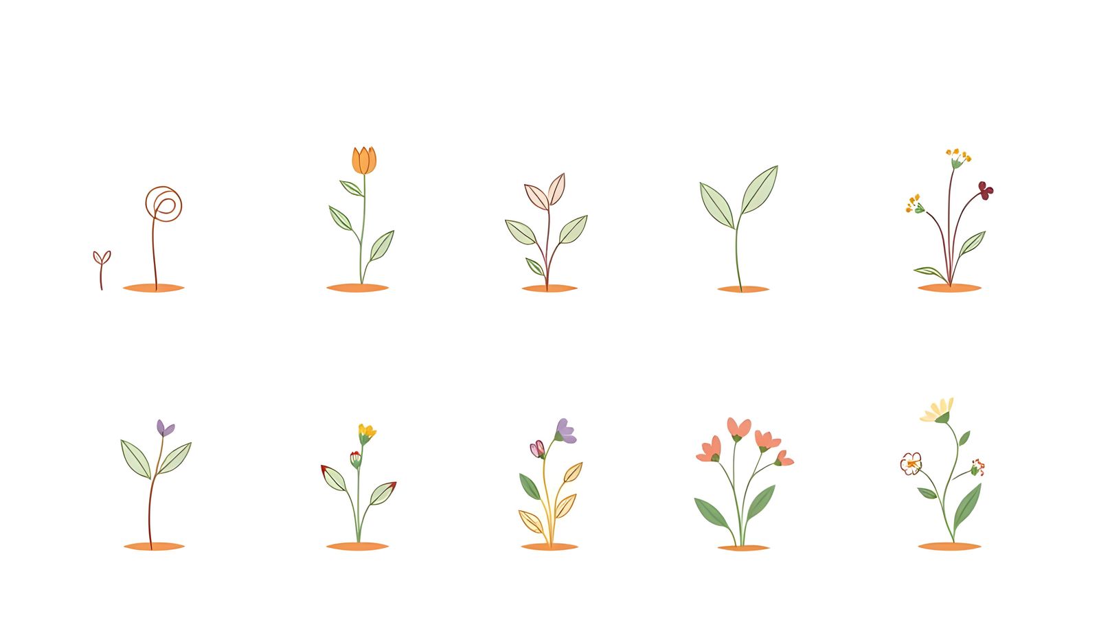 Whimsical Seedling Blooms in Pastel Hues