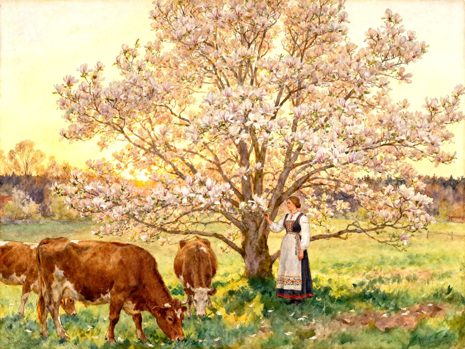 Magnolia Tree in Spring Sunlight, Carl Larsson Style