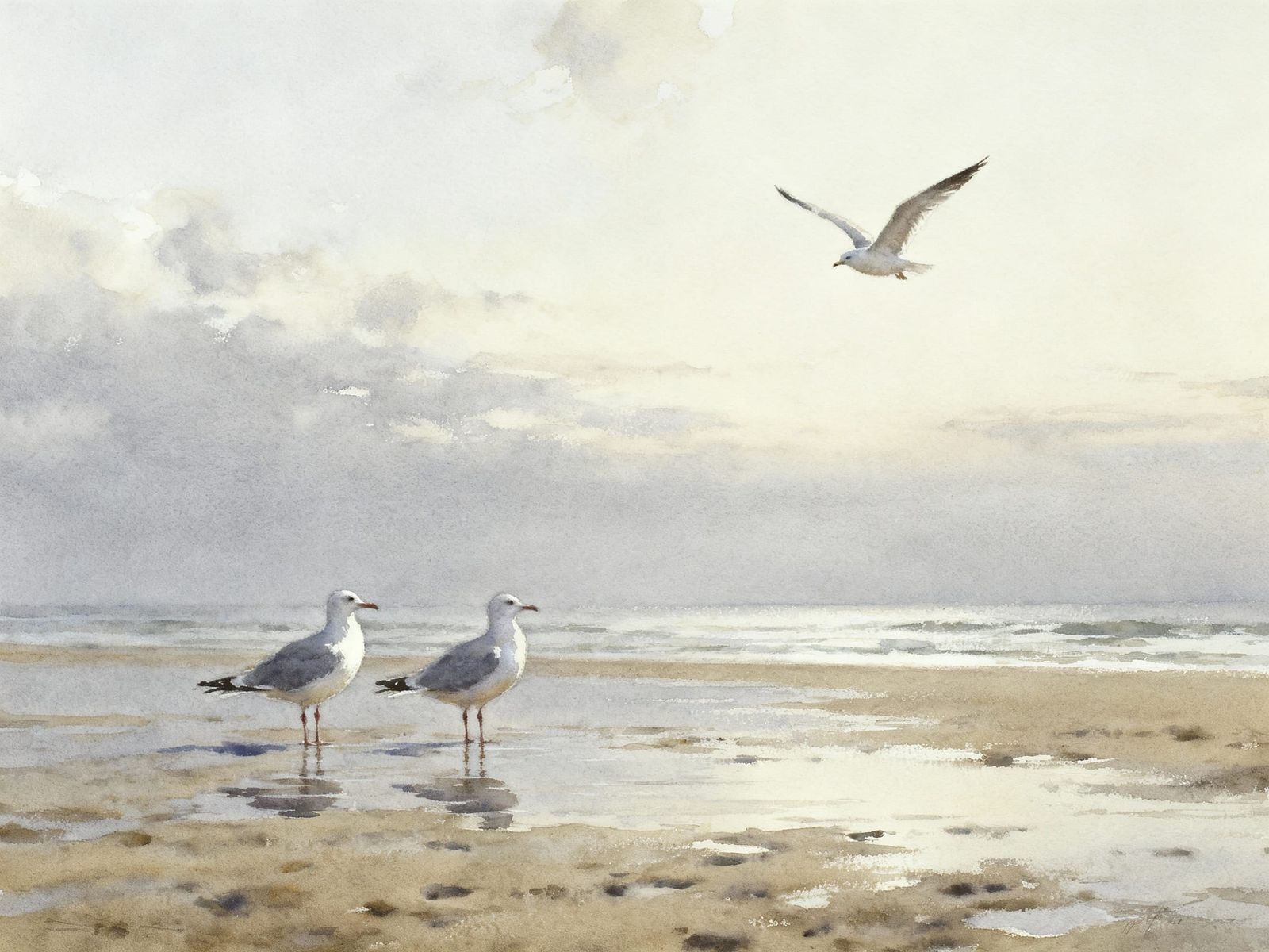 Seagulls on Beach in Muted Tones