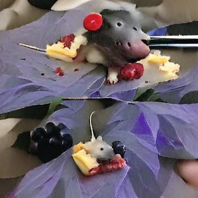Rat's Delight: Berries and Cheese Feast