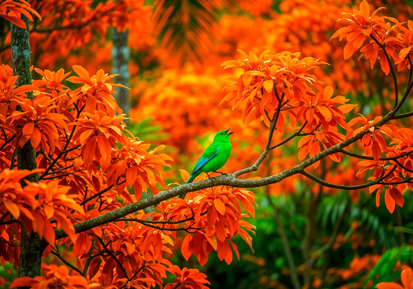 Neon Bird in Orange Tree, Modern Art Style