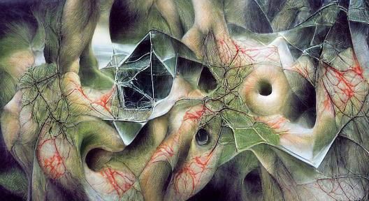 Surreal Mathematical Wound with Impossible Shapes