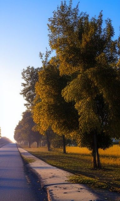 September Morning Dew in Romantic Style
