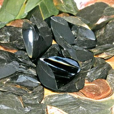 Polished Shungite Specimen on Display