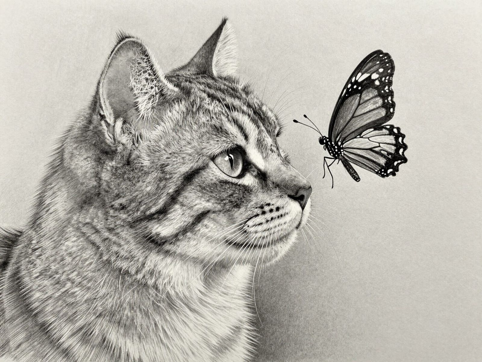 Hyperrealistic Cat with Butterfly in Graphite Pencil Art