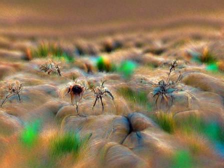Alien Landscape