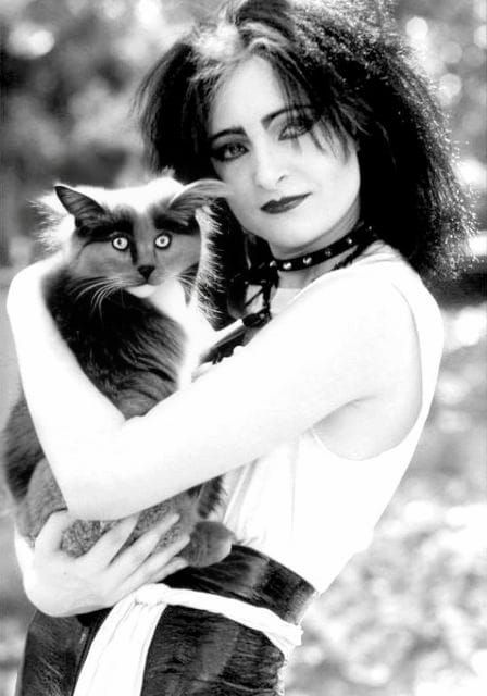 Siouxsie Sioux Portrait with Grey Cat, 80s Goth