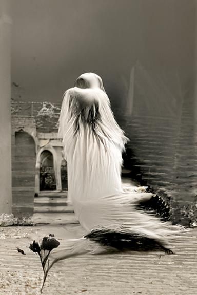 Serene Beauty Haunted by the Past