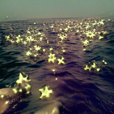 Ocean Reflecting Starry Night Sky