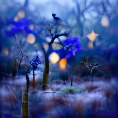 Enchanted Forest: A Whimsical Fae Landscape