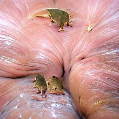 Uninterpretable Image from Empty Prompt